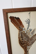 Load image into Gallery viewer, Antique Bird Feather Art (c. 1890)