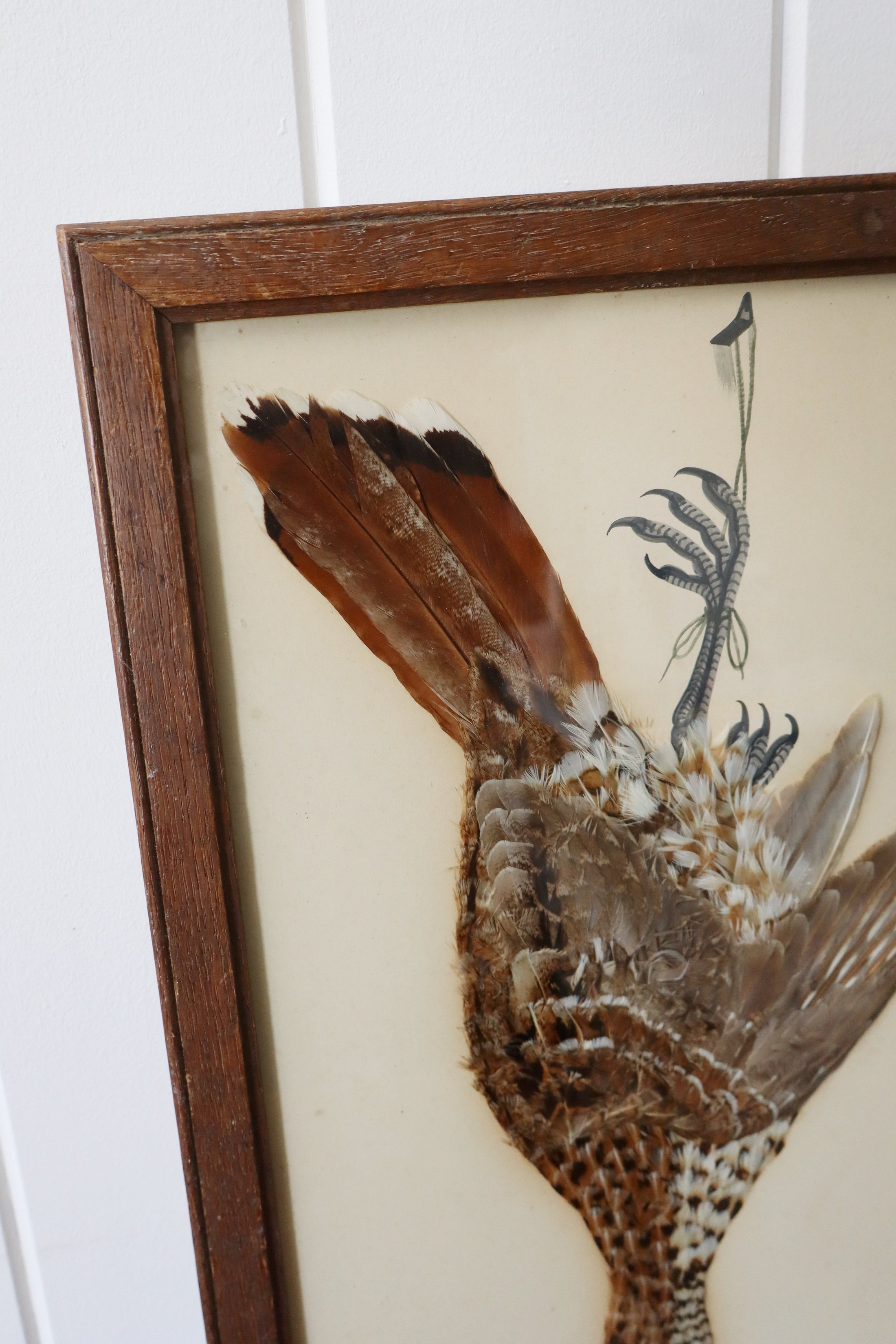 Antique Bird Feather Art (c. 1890)