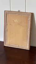 Load image into Gallery viewer, Antique French Framed Herbarium (c. 1857) with Original Glass