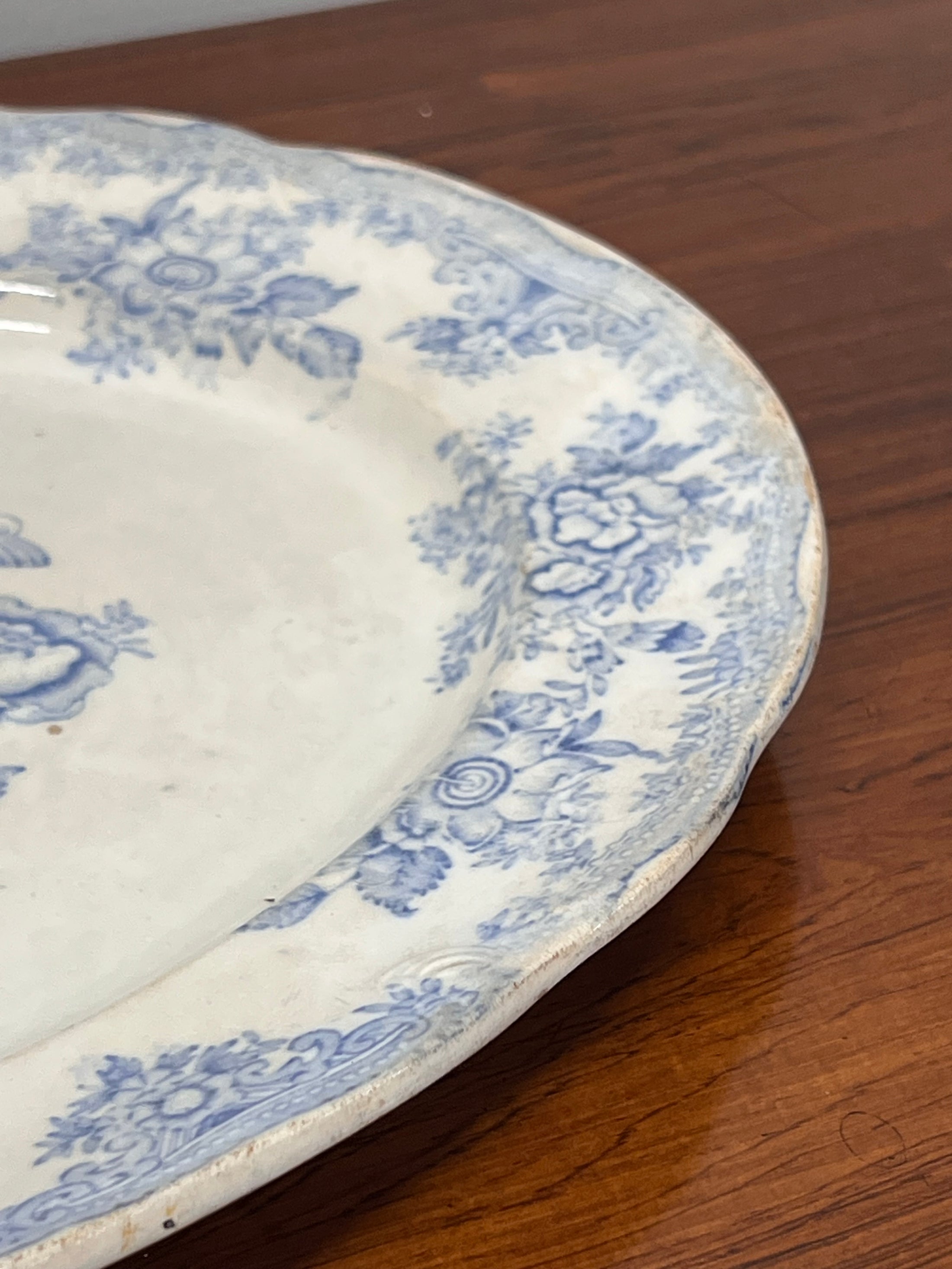 19th Century Asiatic Pheasant Oval Serving Platter