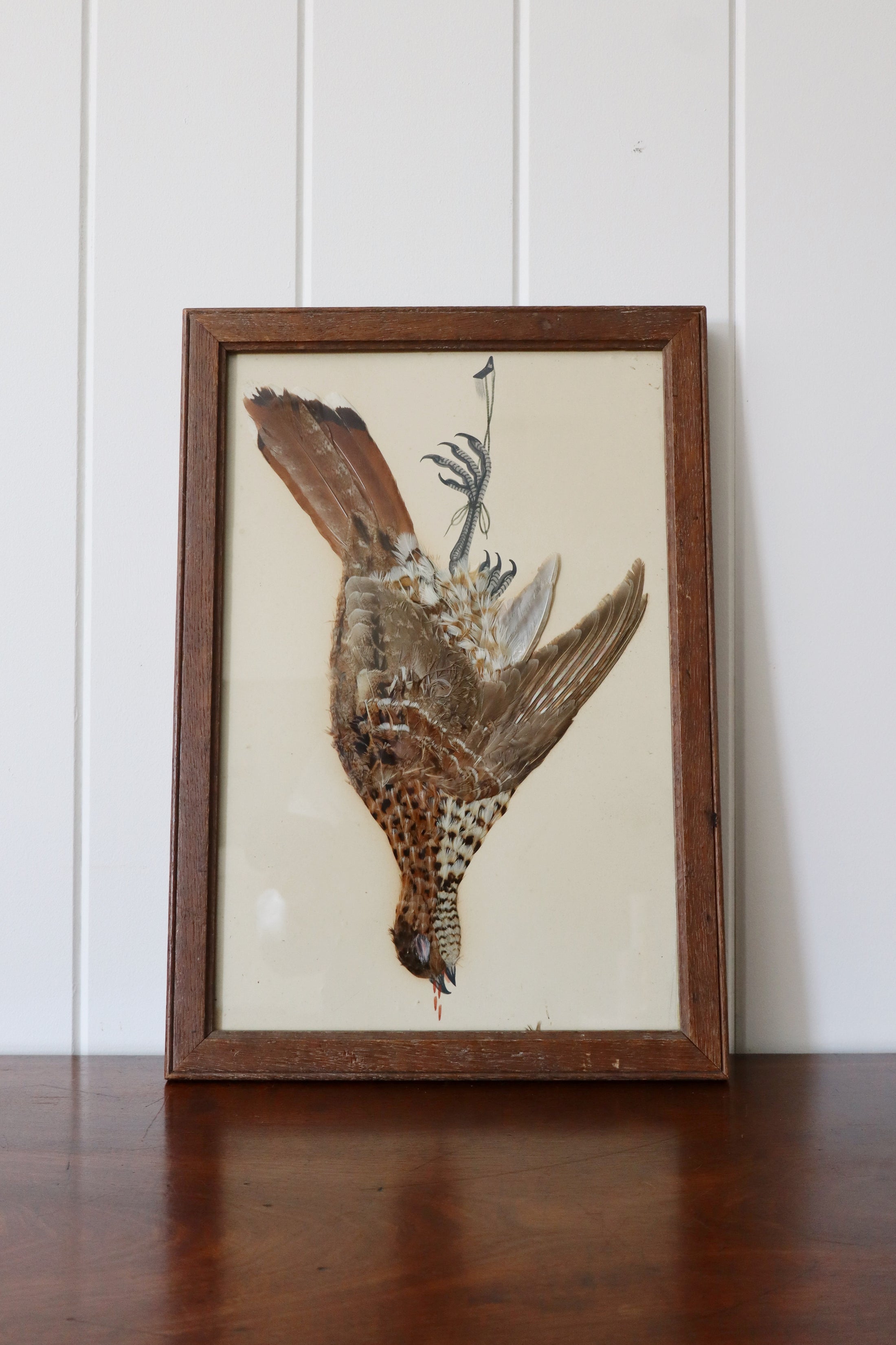 Antique Bird Feather Art (c. 1890)