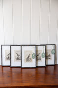 Load image into Gallery viewer, 18th Century Copper Plated Bird Engraving by Buffon in Custom Faux Bamboo Frame (c. 1790)
