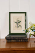 Load image into Gallery viewer, Antique Botanical Hand Colored Bookplates in Contemporary Green Lacquer Frames