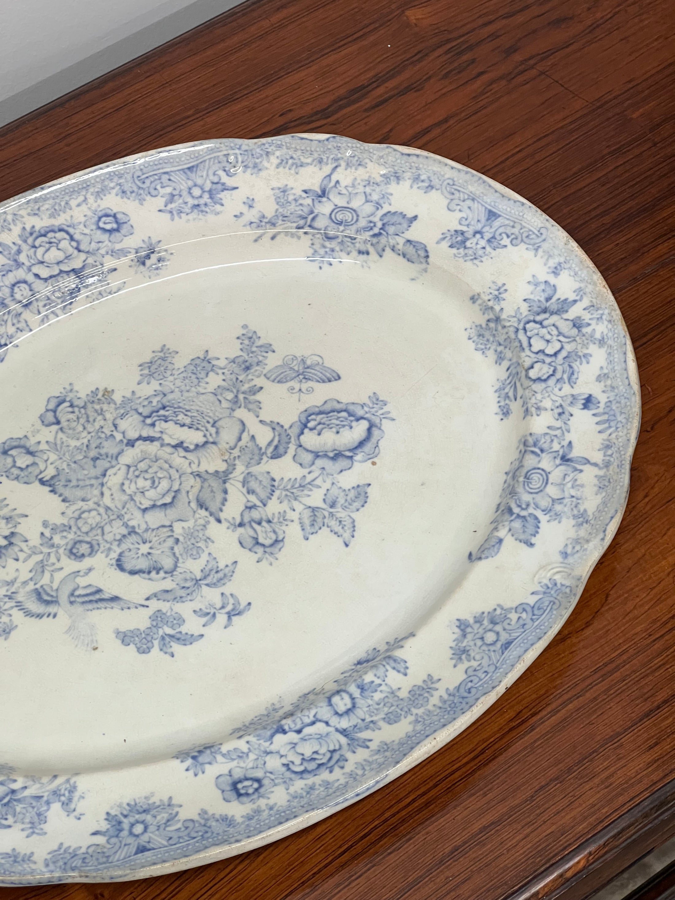 19th Century Asiatic Pheasant Oval Serving Platter