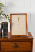 Load image into Gallery viewer, TRIO of Antique Herbarium Grasses (c. 1908) in Custom Burl Wood Frames