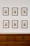 Load image into Gallery viewer, 18th Century Copper Plated Bird Engraving by Buffon in Custom Faux Bamboo Frame (c. 1790)
