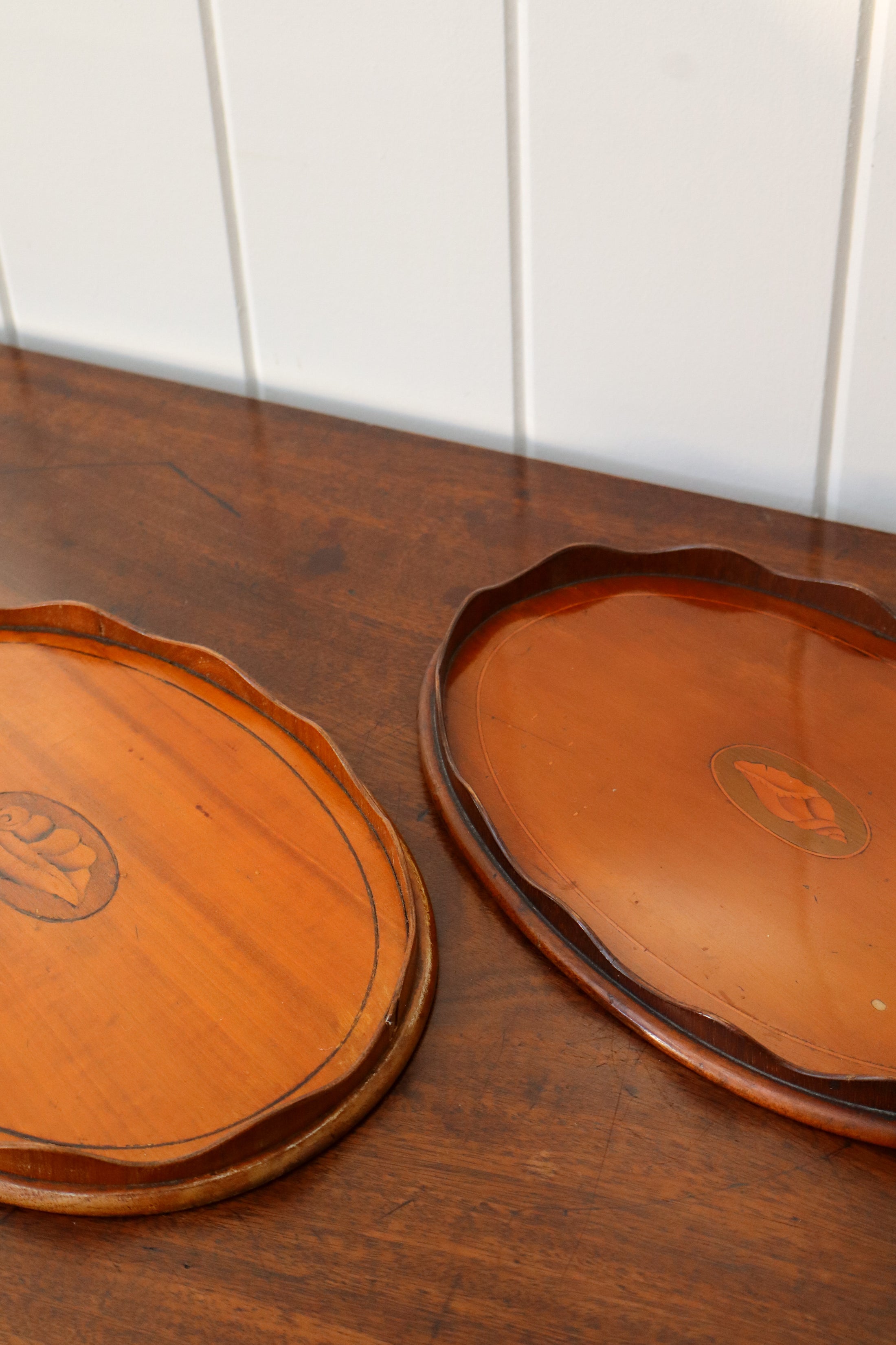 Petite Edwardian Mahogany Tray with Scalloped Edge + Shell Inlay
