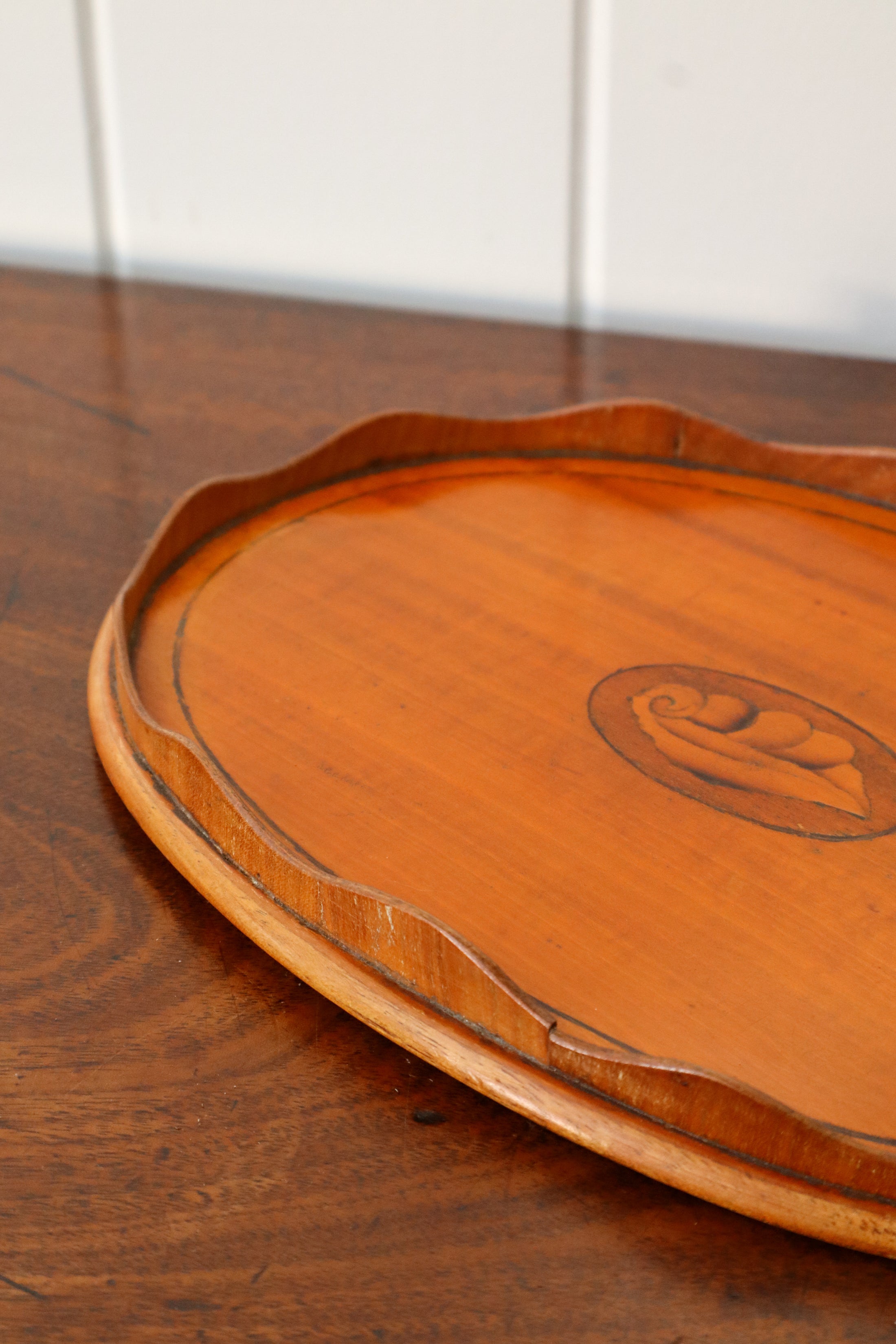 Petite Edwardian Mahogany Tray with Scalloped Edge + Shell Inlay