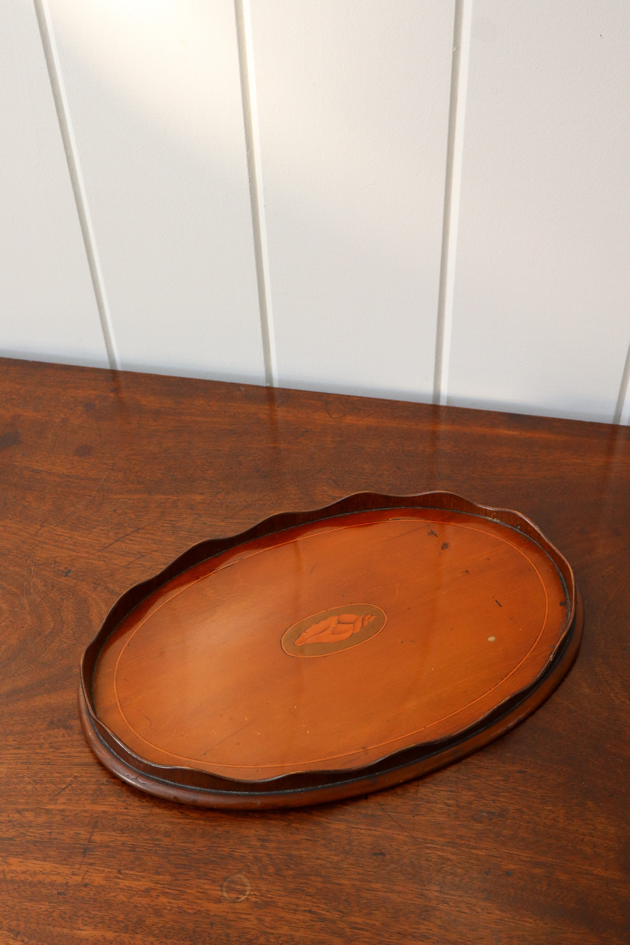 Petite Edwardian Mahogany Tray with Scalloped Edge + Shell Inlay