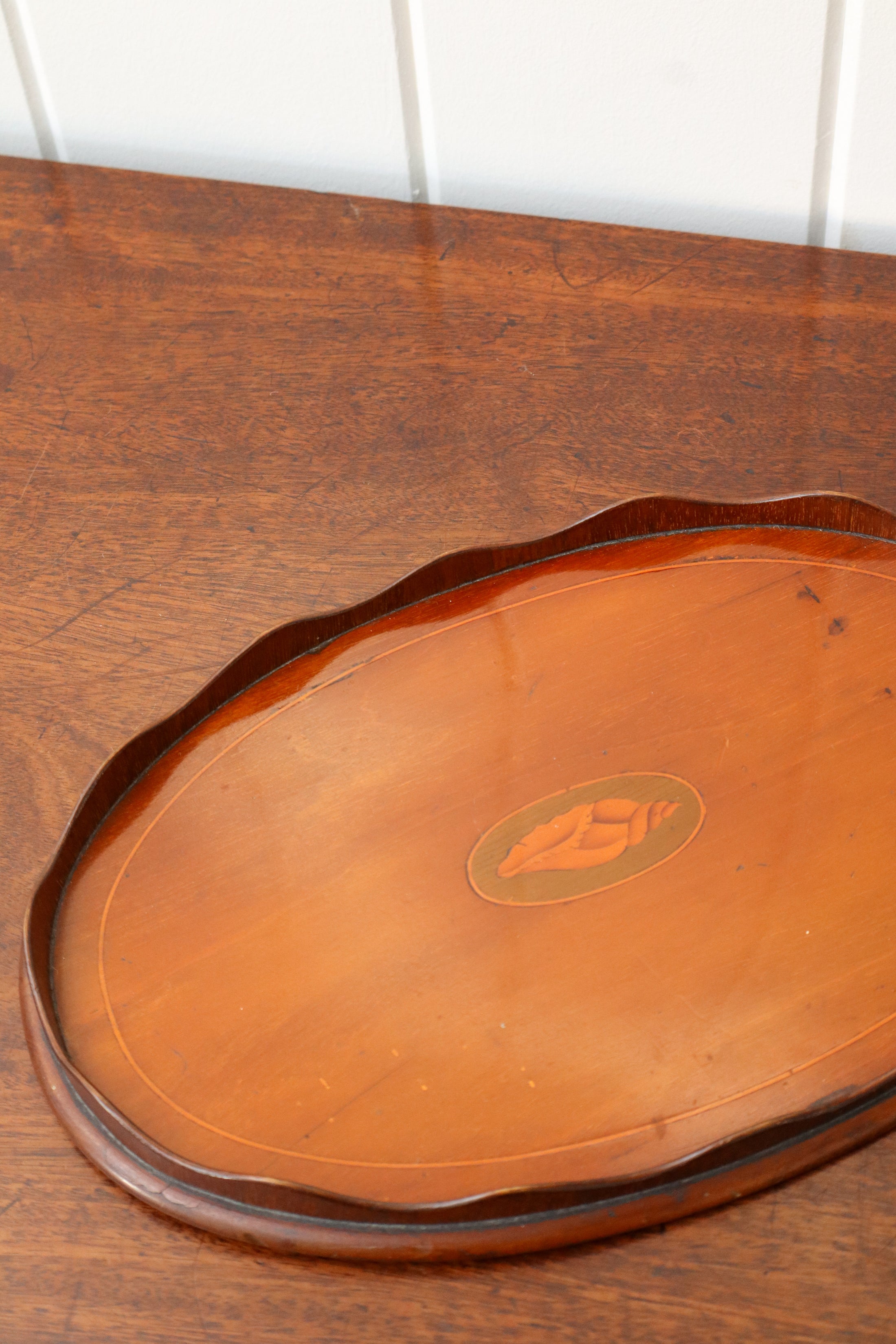 Petite Edwardian Mahogany Tray with Scalloped Edge + Shell Inlay