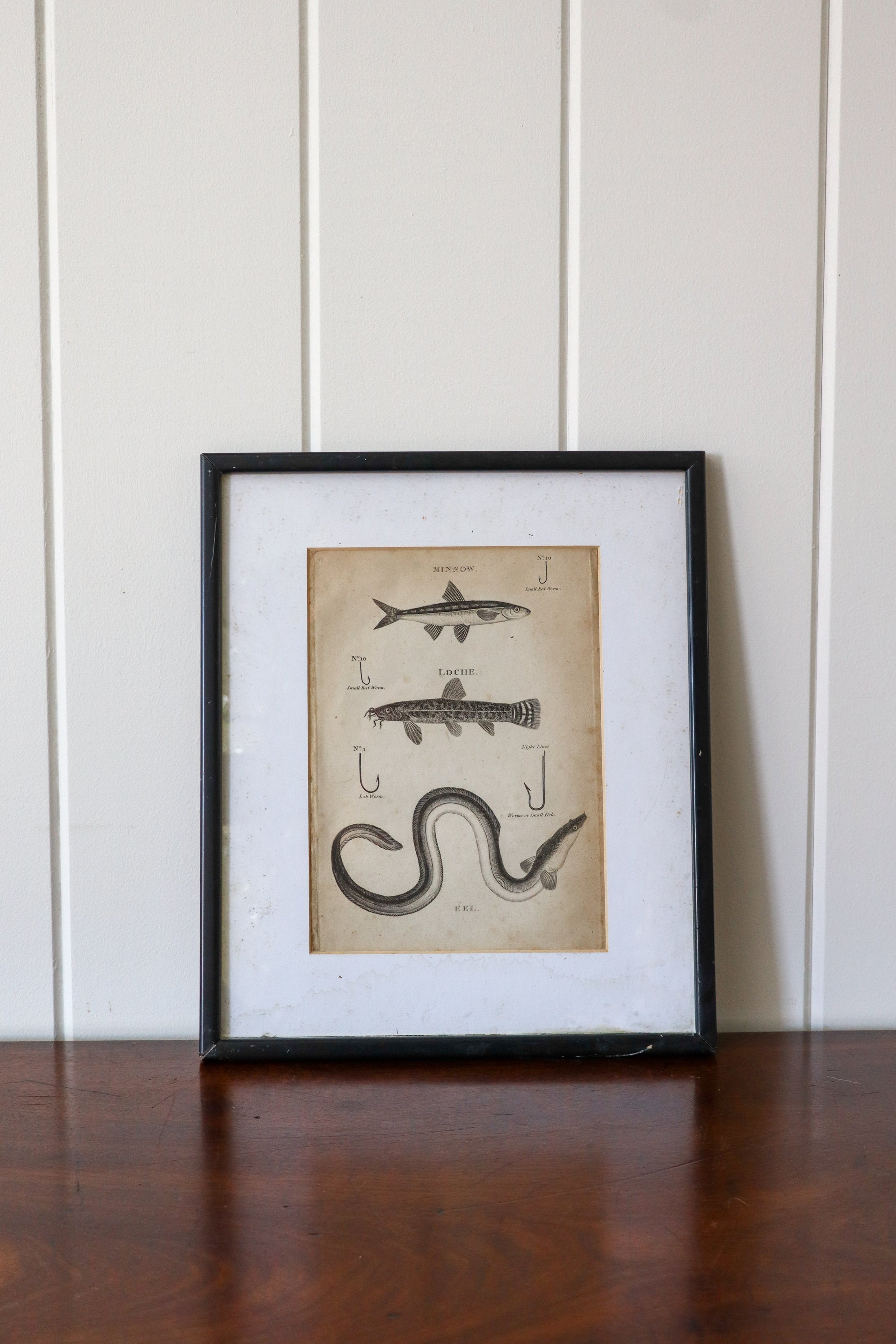 19th Century Engraving "Recommended Hook Size"