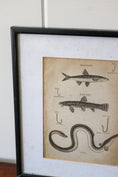 Load image into Gallery viewer, 19th Century Engraving "Recommended Hook Size"
