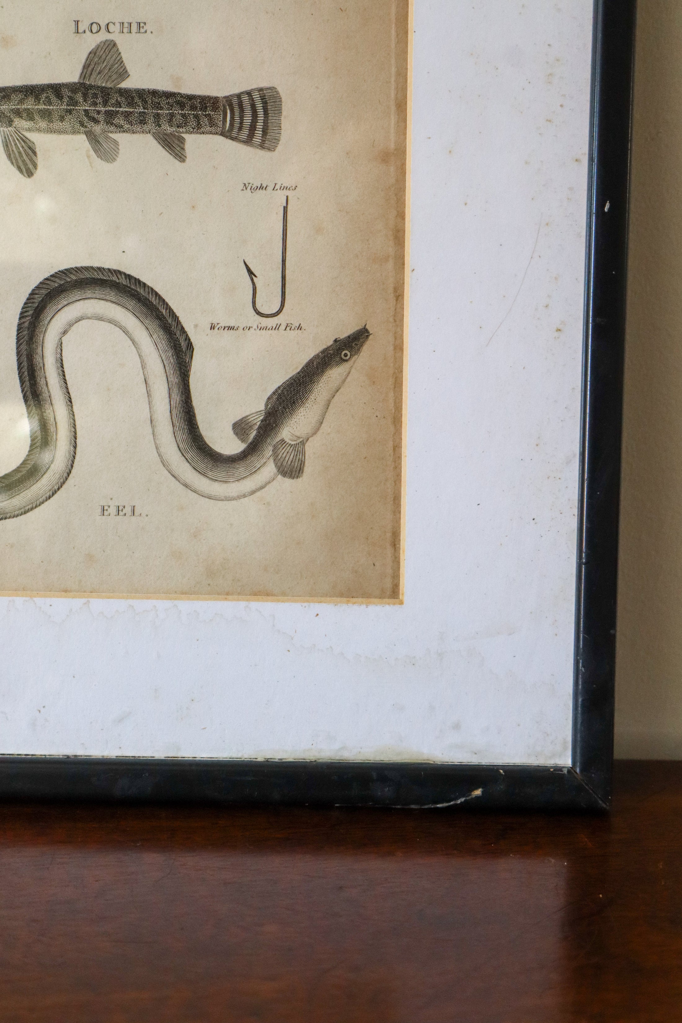 19th Century Engraving "Recommended Hook Size"