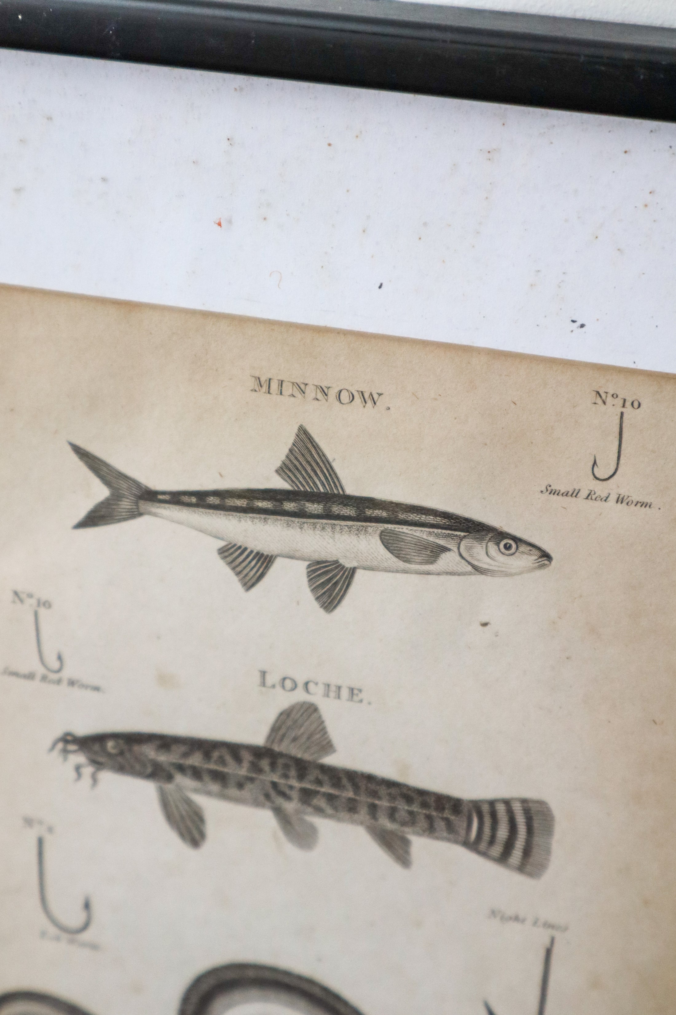 19th Century Engraving "Recommended Hook Size"