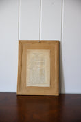 Load image into Gallery viewer, 18th Century English Hand Colored Botanical Book Plate (c. 1720) | Framed in the early 1900s