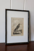 Load image into Gallery viewer, 18th Century Copper Plated Bird Engraving by Buffon in Custom Faux Bamboo Frame (c. 1790)