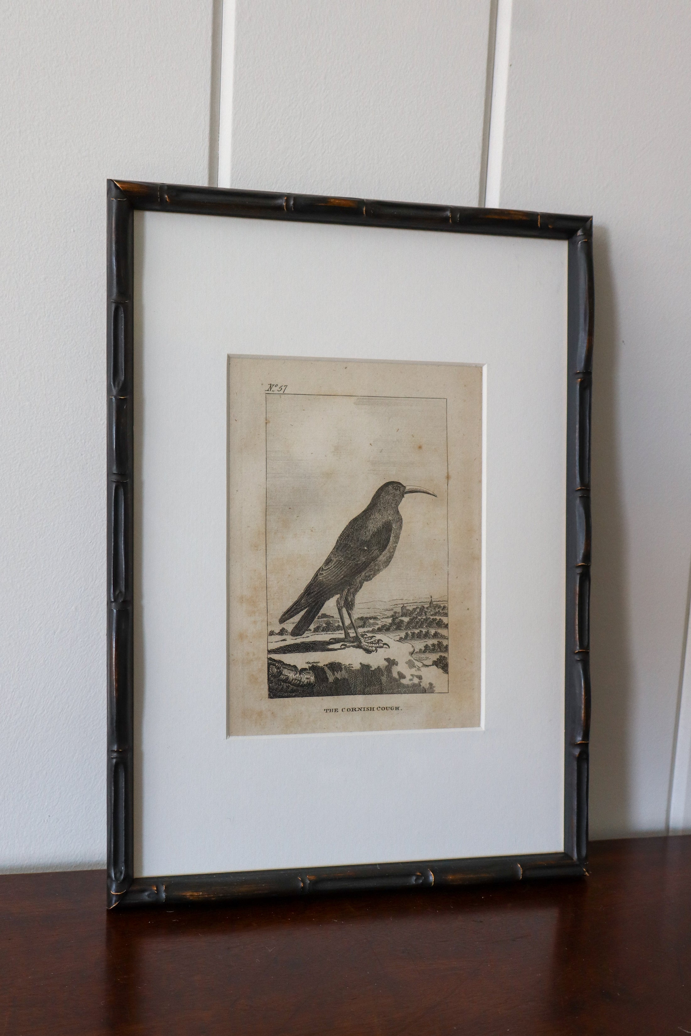 18th Century Copper Plated Bird Engraving by Buffon in Custom Faux Bamboo Frame (c. 1790)