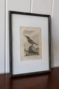 Load image into Gallery viewer, 18th Century Copper Plated Bird Engraving by Buffon in Custom Faux Bamboo Frame (c. 1790)