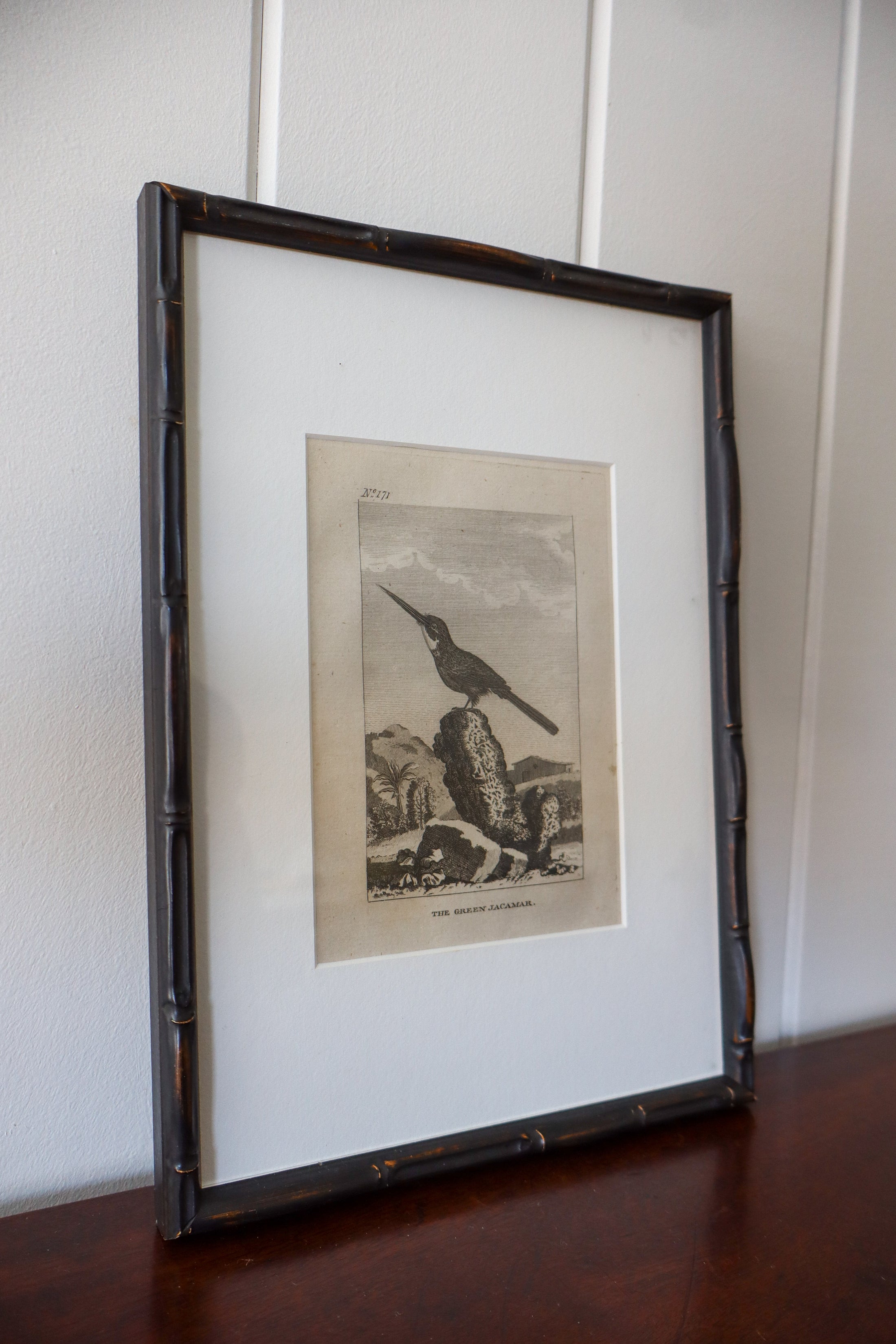 18th Century Copper Plated Bird Engraving by Buffon in Custom Faux Bamboo Frame (c. 1790)