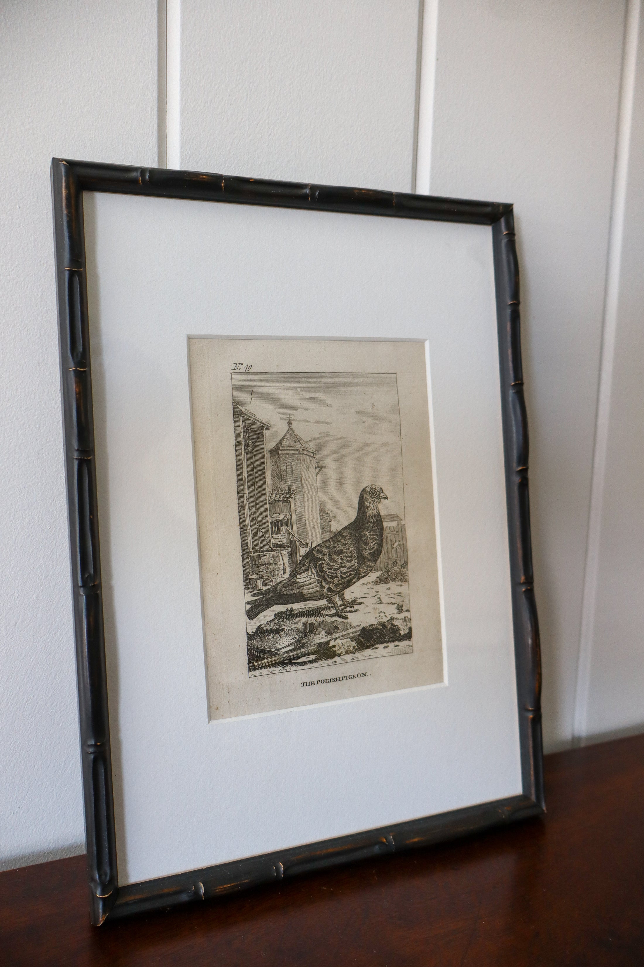 18th Century Copper Plated Bird Engraving by Buffon in Custom Faux Bamboo Frame (c. 1790)
