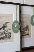 Load image into Gallery viewer, 18th Century Copper Plated Bird Engraving by Buffon in Custom Faux Bamboo Frame (c. 1790)