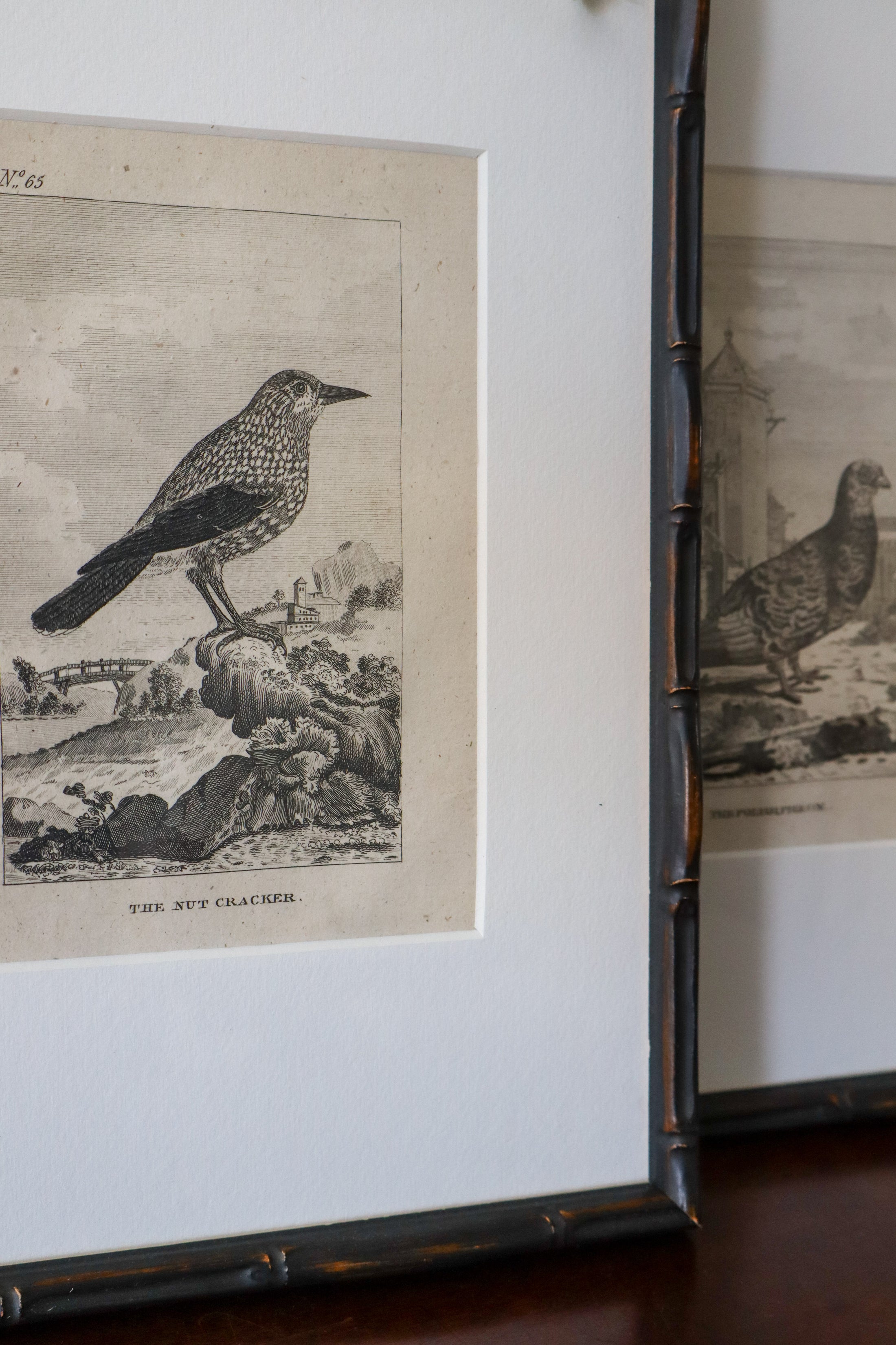 18th Century Copper Plated Bird Engraving by Buffon in Custom Faux Bamboo Frame (c. 1790)