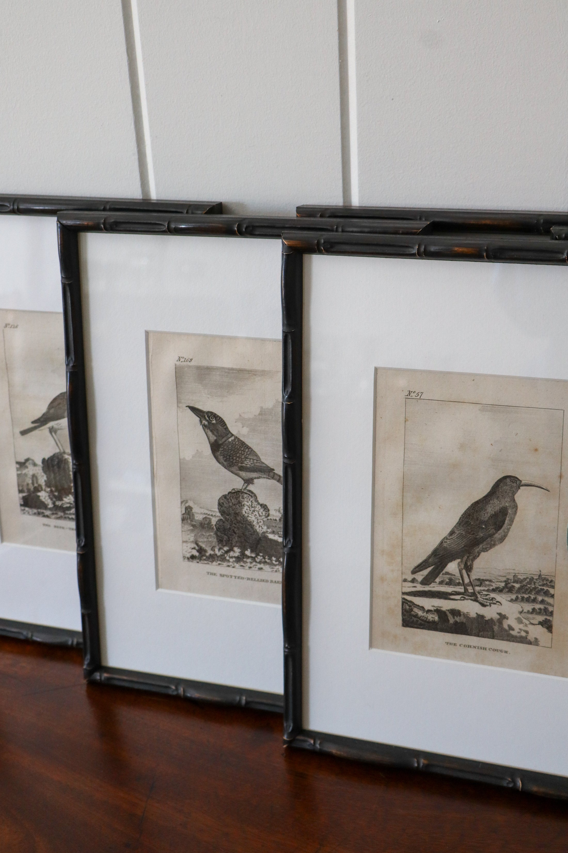18th Century Copper Plated Bird Engraving by Buffon in Custom Faux Bamboo Frame (c. 1790)