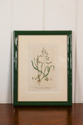 Load image into Gallery viewer, Antique Botanical Hand Colored Bookplates in Contemporary Green Lacquer Frames