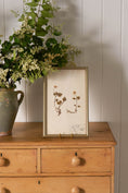 Load image into Gallery viewer, Framed Herbarium (Finland, c. 1928-30) in Custom Beaded Champagne Frame