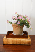Load image into Gallery viewer, Petite English Mahogany Tray with Scalloped Edge