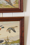 Load image into Gallery viewer, PAIR of Vintage Paint By Number Duck and Pheasants in Oak Frames