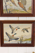 Load image into Gallery viewer, PAIR of Vintage Paint By Number Duck and Pheasants in Oak Frames