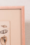 Load image into Gallery viewer, SET of 6 Antique English Seashells | Float Mount in Contemporary Pink Gloss Frames