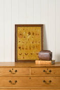 Load image into Gallery viewer, Early 20th Century English School Anatomy Prints with Walnut Frames + Inner Gilt