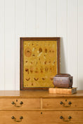 Load image into Gallery viewer, Early 20th Century English School Anatomy Prints with Walnut Frames + Inner Gilt