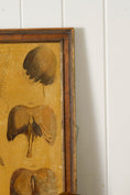 Load image into Gallery viewer, Early 20th Century English School Anatomy Prints with Walnut Frames + Inner Gilt