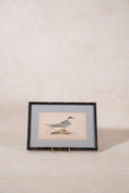 Load image into Gallery viewer, Antique Hand Colored Bird Engraving (c. 1865) | in Contemporary Black Bamboo Frame
