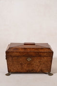 Load image into Gallery viewer, Antique Burl Walnut Tea Caddy with Claw Feet