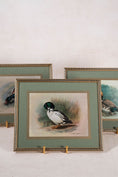 Load image into Gallery viewer, SET of 3 Signed Duck Prints with Green Mats