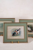 Load image into Gallery viewer, SET of 3 Signed Duck Prints with Green Mats