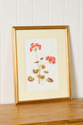 Load image into Gallery viewer, Hand Colored Herbarium Geranium Botanical