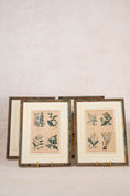 Load image into Gallery viewer, SET of 4 | Framed Antique English Hand Colored Botanical Engravings