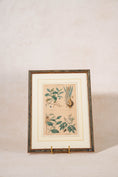 Load image into Gallery viewer, SET of 4 | Framed Antique English Hand Colored Botanical Engravings