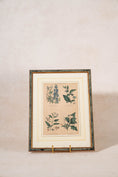 Load image into Gallery viewer, SET of 4 | Framed Antique English Hand Colored Botanical Engravings