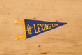 Load image into Gallery viewer, Vintage American Pennants