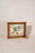 Load image into Gallery viewer, Antique Framed Victorian Watercolor Painting of Cherries