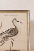 Load image into Gallery viewer, PAIR of Gilt Wood Framed 18th Century Hand Colored Bird Engravings