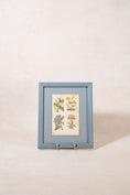 Load image into Gallery viewer, PAIR of Antique Botanical Prints | Custom Float Mount in Blue Vintage Frame
