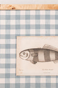 Load image into Gallery viewer, SET of 6 Antique English Fish Engravings (c. 1805) | Mounted on Chelsea Textiles Check 'Antique Blue' Fabric in Custom Contemporary Pale Burl Wood Frames