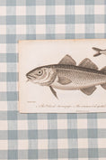 Load image into Gallery viewer, SET of 6 Antique English Fish Engravings (c. 1805) | Mounted on Chelsea Textiles Check 'Antique Blue' Fabric in Custom Contemporary Pale Burl Wood Frames